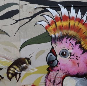 Street art of Bees and Birds Bourke street